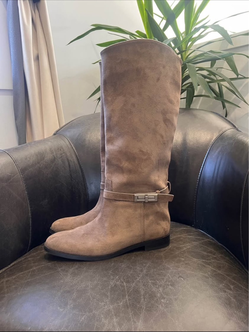 H&M Tall Women's Suede Riding Boots in Taupe Size 9